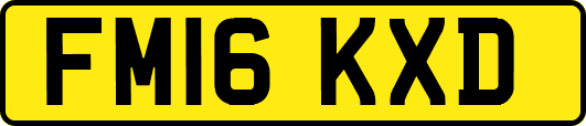 FM16KXD