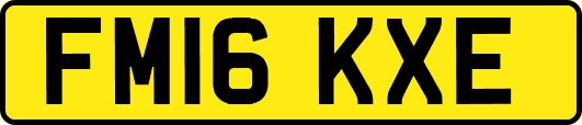 FM16KXE