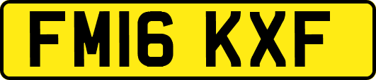 FM16KXF