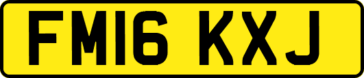 FM16KXJ