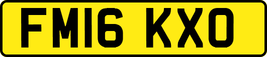 FM16KXO