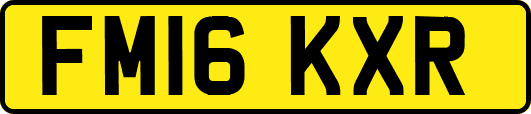 FM16KXR