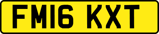 FM16KXT