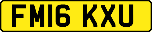 FM16KXU