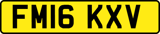 FM16KXV
