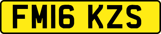 FM16KZS
