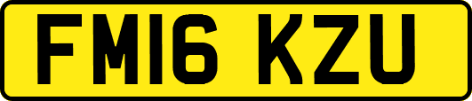 FM16KZU