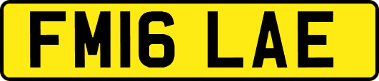 FM16LAE