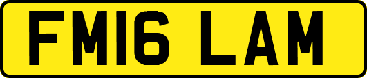 FM16LAM