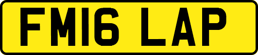 FM16LAP