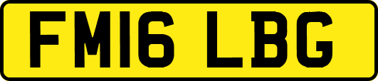 FM16LBG