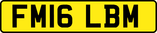 FM16LBM