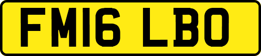 FM16LBO