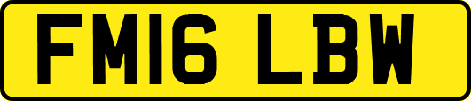 FM16LBW