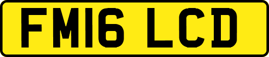FM16LCD