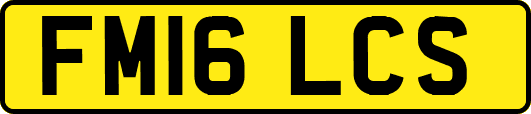 FM16LCS
