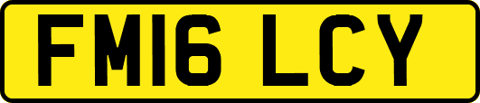 FM16LCY