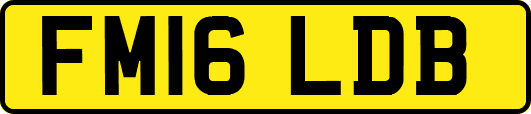 FM16LDB