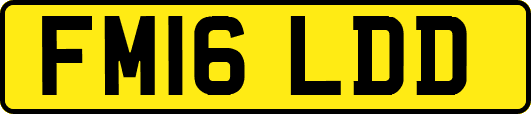 FM16LDD