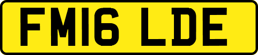 FM16LDE