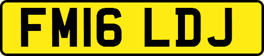 FM16LDJ