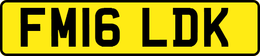 FM16LDK