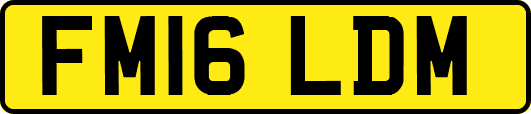 FM16LDM
