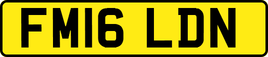 FM16LDN