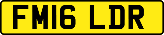 FM16LDR