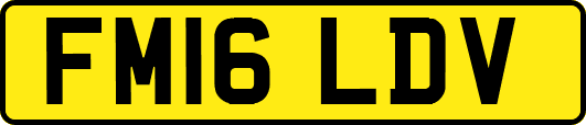 FM16LDV