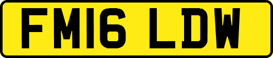 FM16LDW