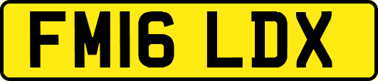 FM16LDX
