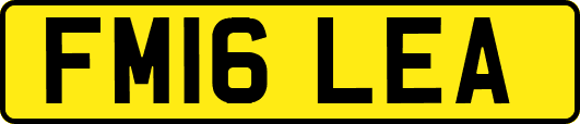 FM16LEA