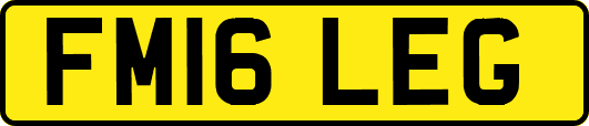 FM16LEG