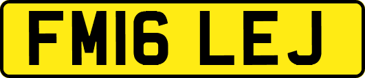 FM16LEJ