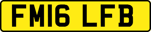 FM16LFB