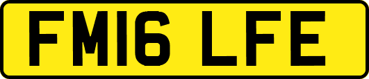 FM16LFE