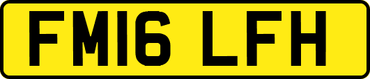 FM16LFH