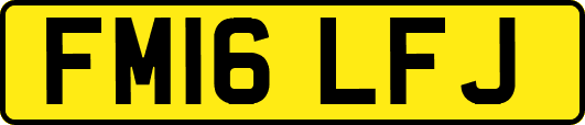 FM16LFJ
