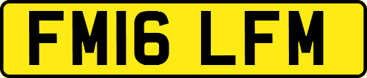 FM16LFM