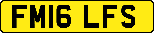 FM16LFS