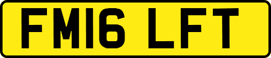 FM16LFT