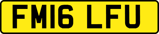 FM16LFU