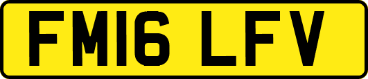 FM16LFV