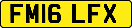 FM16LFX