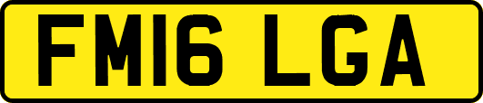 FM16LGA