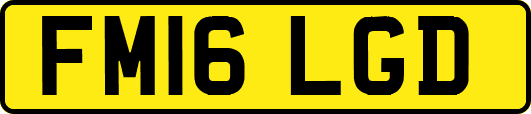 FM16LGD