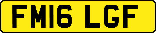 FM16LGF