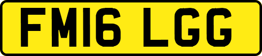 FM16LGG
