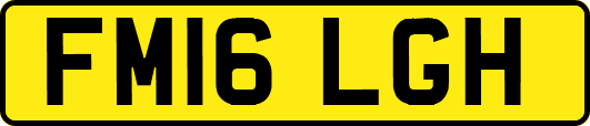 FM16LGH